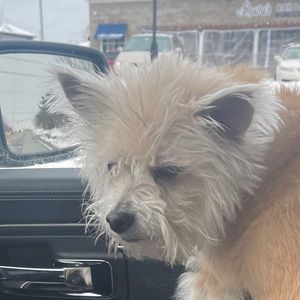 Meet your Posher, Joseph